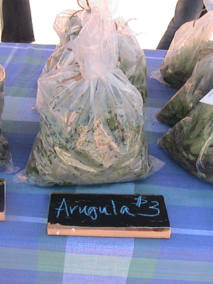 Arugula